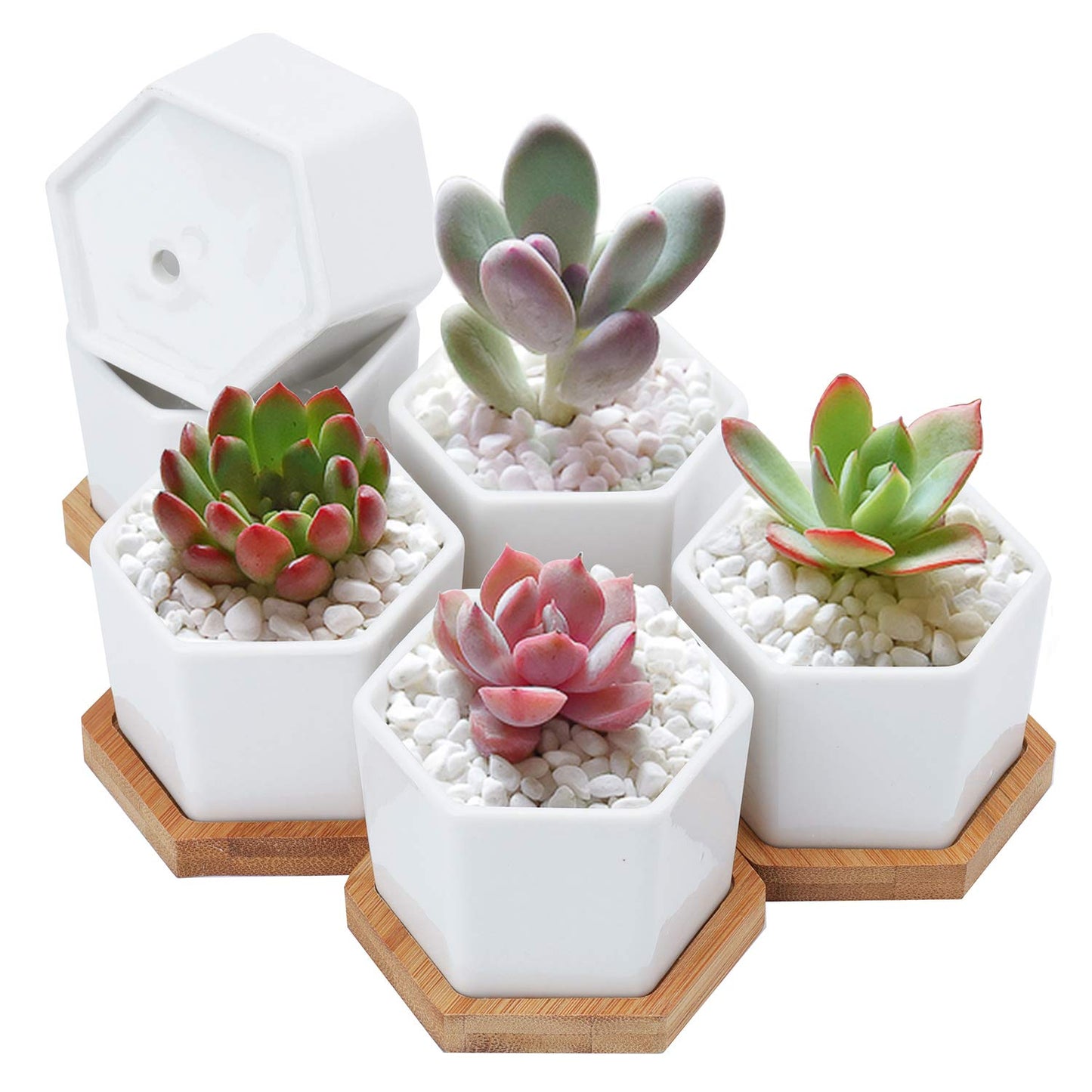 Foraineam 10 Pack Mini Succulent Plant Pots, 2.76 inch Hexagonal White Ceramic Succulent Cactus Planters with Bamboo Tray