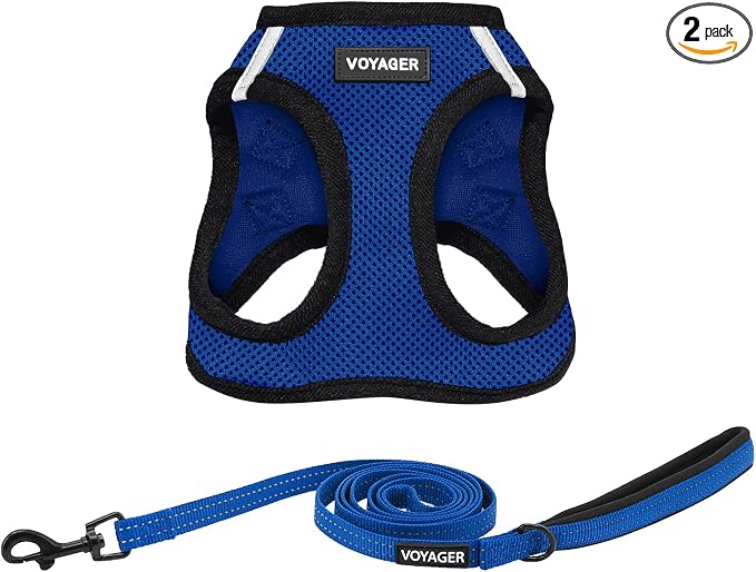 Best Pet Supplies Voyager Step-in Air All Weather Mesh Harness and Reflective Dog 5ft Leash Combo with Neoprene Handle, for Small, Medium and Large Breed Puppies - Royal Blue/Black Trim, Small