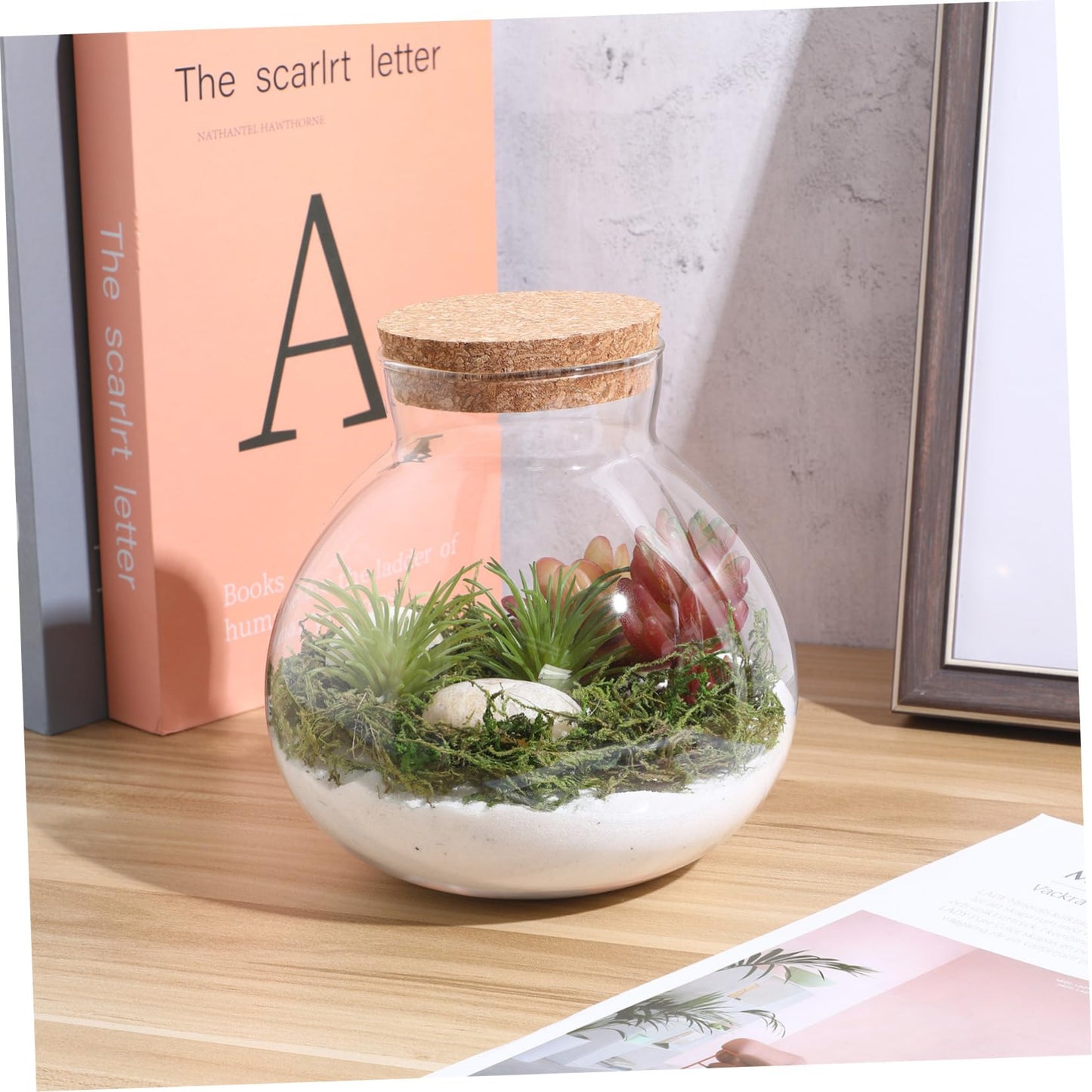 BESPORTBLE Glass Moss Bottle Empty Glass Jar Moss Crafts Home Decor Plant Terrarium