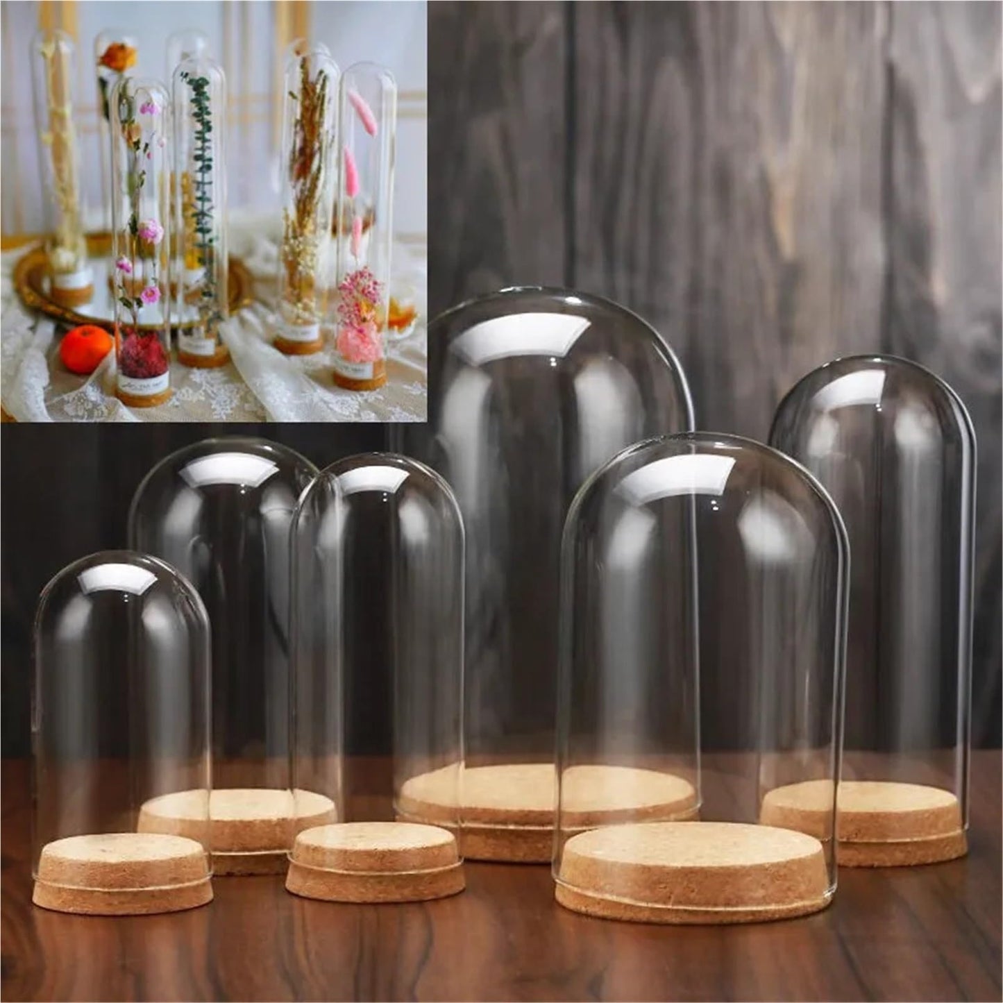 10X Da30mm Glass Bottle Terrarium Jar Cork Base Dome Dust Cover DIY Specimen Succulent Plant Micro Landscape Flower Vase Display(30x70cm)