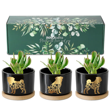 InnoBeta Pug Gifts Succulent Plant Pots 3pcs, Gifts for Pug Lovers, Planter Pot with Bamboo Tray, Plants NOT Included, Cute Ceramic Pots for Birthday, Christmas