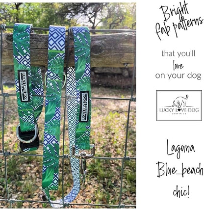Lucky Love Dog Martingale Collar and Leash Set, Premium No Slip Martingale Collar for Large Boy Dogs, Great for Whippets, Greyhounds, and More (Large, Blue Laguna - Combo)