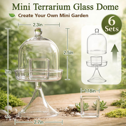 Gandeer 6 Pack Mini Glass Cloche with Base Bell Jar Dome & Acrylic Cube Planter 2.7 x 2.7 x 5'' Clear Glass Terrarium for Succulents Moss Cakes Miniature Dioramas Specimens Jewelry Rings Display