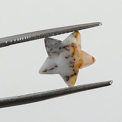 CRYSTALINES 5pcs, Wholesale Natural Dendrite Agate Gemstones, Bulk Star Shape Stones, Assorted Loose Supply, DIY Craft-Jewelry Making, Chakra Healing Crystals, Gem Collection, 10-12mm