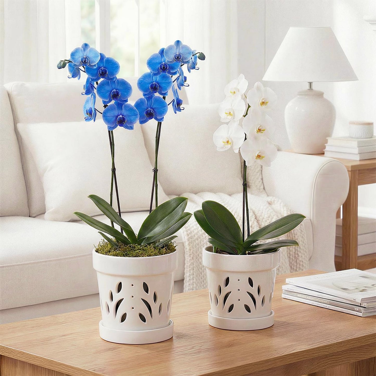 STHIE Orchid Pots, 5 + 6 Inch Ceramic Orchid Pots with Holes, Orchids Planter for Repotting, 2 Pack Promoting Air Circulation, White Flower Pots with Removable Trays