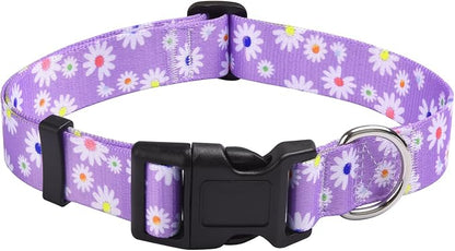 MarukoPet Dog Collar, Adjustable for Small Medium Large Dogs Puppy, Cute Design with Bohemia Floral Tribal Geometric Patterns Boys Girls Dog Collar(Purple Daisy-XS)