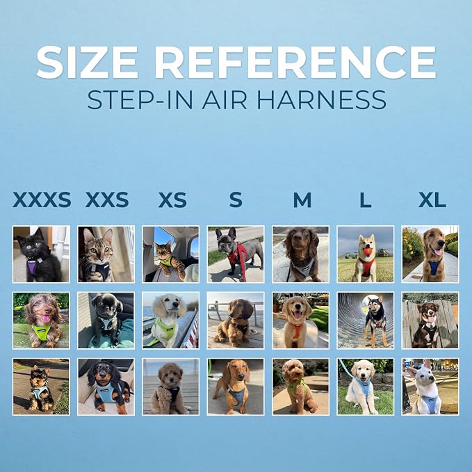 Best Pet Supplies Voyager Step-in Air All Weather Mesh Harness and Reflective Dog 5ft Leash Combo with Neoprene Handle, for Small, Medium and Large Breed Puppies - Black, X-Large