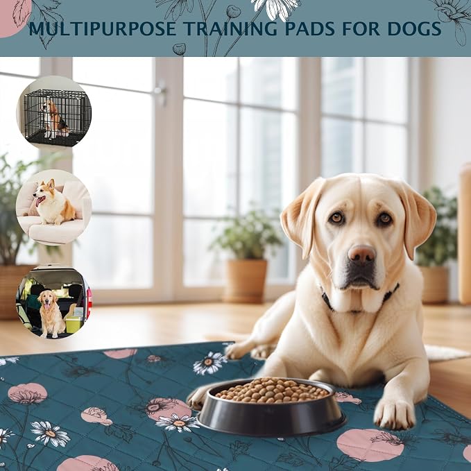IEUUMLER Washable Pee Pads for Dogs, 2 Pack Non-Slip & Waterproof Pack Whelping Pad, Reusable Washable Puppy Potty Training Pad with Fast Absorbent for Playpen EU007 (Navy Blue Daisy, 41"X41"-2pcs)