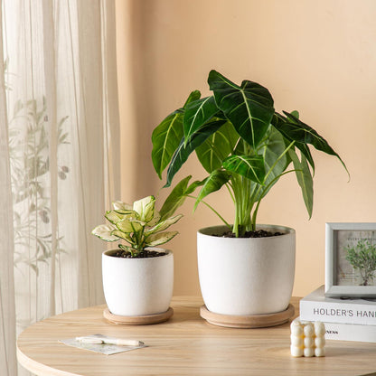 POITONRU Ceramic Flower Pots Indoor-Outdoor: 5.75 Inch Planters with Drainage Holes & Saucer - Modern Decorative Plant Pots Ceramic for Home Gardeners (White)