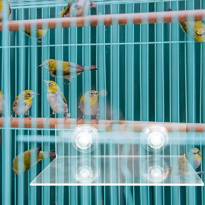 HANABASS Suction Cup Parrot Stand Platform Portable Acrylic Bird Perch for Windows Showers and Walls Flat Bird Stand for Small to Medium Parrots Parakeets Cockatoos and Macaws