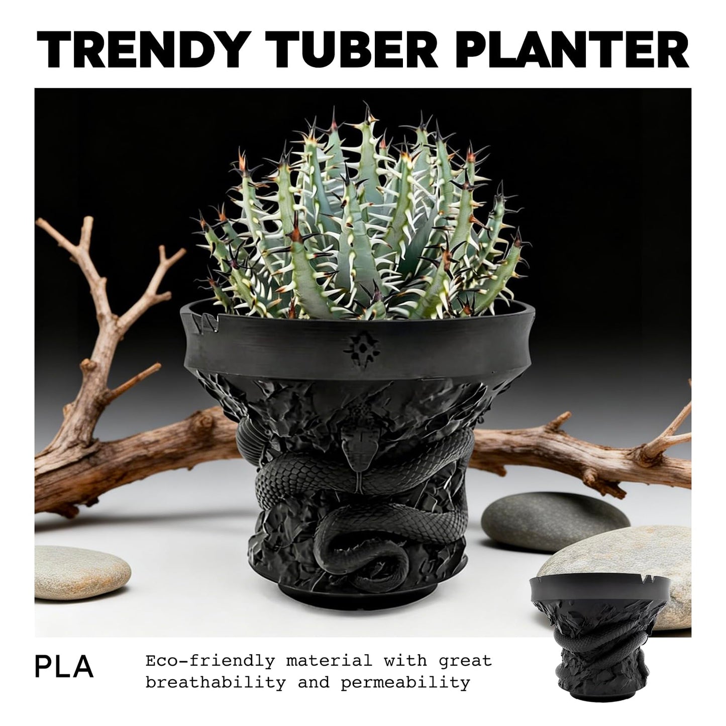 Dak Haan Succulent Pot with Drainage – Indoor Plant Pots, Artistic Design Flower Pots,Personalized Custom Mothers Day Plant Pot, ShallowSucculents Pots Bowls for Home, Office, Weddings & Party Décor