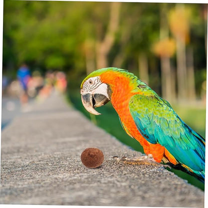 5Pcs Bird Mineral for Parrots Natural Chewing Stone for Beak Health Essential Bird Cage Accessories for Calcium Digestion Support