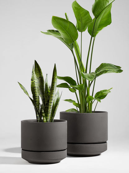 LE TAUCI 12 Inch Pot for Plants with Saucer, Ceramic Indoor Planter Pot with Drainage Hole, Mesh Pad Included, Unglazed Porous Ceramic, Modern for Home and Office, Charcoal Gray