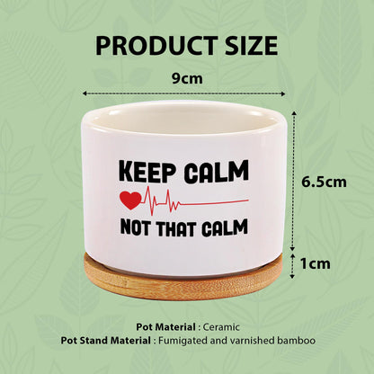 Keep Calm Not That Calm Nurse Gifts Ceramic Succulent Plant Pot Round Doctor EMT Nursing Student Cardiologist Home Office Decor Plant Lover 3.5 Inch White (No Plants) (with Bamboo Tray)