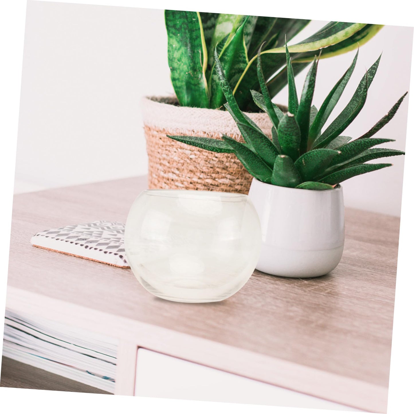 Uonlytech Transparent Glass Hydroponics Flower Vase Terrarium Pot Decorative Plant Holder for Home Office Hotel Desktop Ornament
