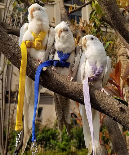 Bird Harness Leash Adjustable Outdoor Training Flying Harness Traction Rope with Cute Wing for Parrots Pigeons Budgerigar Lovebird Cockatiel Mynah (S,Purple)