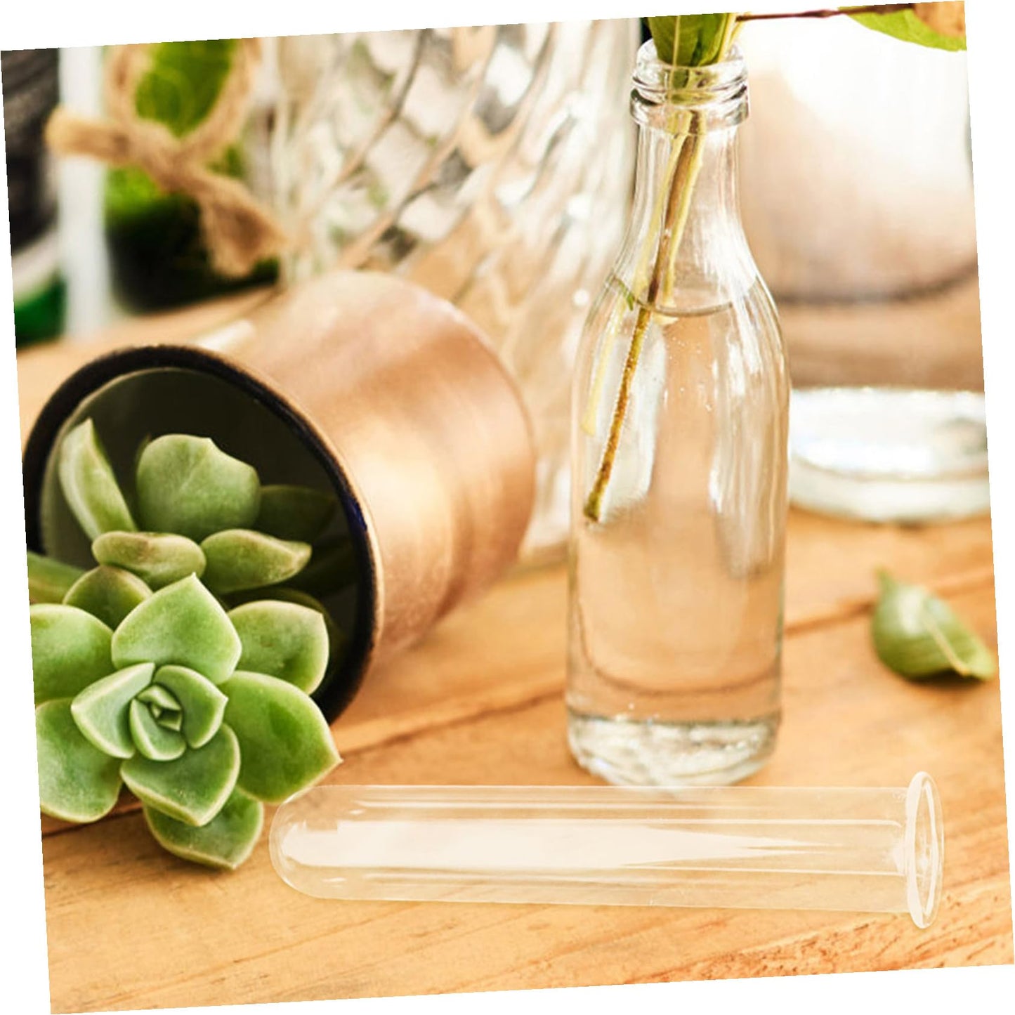 Ciieeo 5pcs Glass Hydroponic Plant Propagation Tubes Desk Vase for Live Plants Transparent Terrarium Tubes for Home Office Decoration and Floral Arrangements