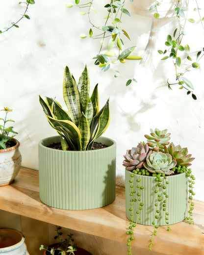 Swkien Ceramic Plant Pots, 8.1 + 6 Inch Planters for Indoor Plants, Modern Flower Pot for Plant with Drainage, Medium Cylinder Flower Pots for Indoor/Outdoor, House Plants, Matte Green