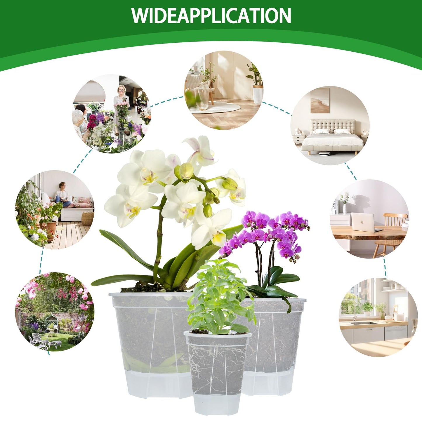 Cdd's Path 6-Pack Bare Root Planter Self Watering Pots Set with Holes for Indoor/Outdoor Plants, 2 Each of 5, 6 and 7 Inch Planter Pot with Watering Hole/Reservoir and Air Pipes, Clear