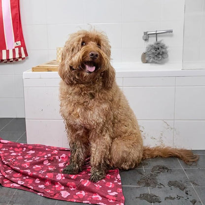 Dock & Bay Pet Towel - Super Absorbent & Quick Drying Dog Towels with Bag - 100% Recycled - Pink Paws, Medium (90x50cm, 35x19)
