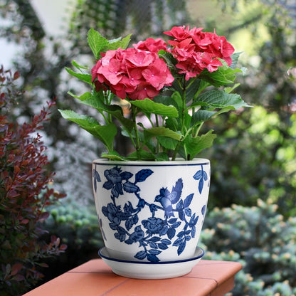 HakkaGirl 8 inch Ceramic Flower Pots, Chinoiserie Decor Ceramic Planter Plant Pots for Indoor Plants with Drainage and Saucer, Blue and White