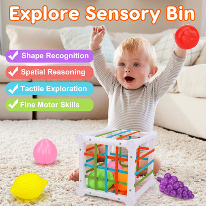 Montessori Baby Toys 6-12-18 Month, Infant Teething Toys Shape Sorter Bin Stacking Cups Blocks for toddlers 1-3, Sensory Educational Learning Toy for 6 7 8 9 10 Month Old Girl Boy 1 2 Year Old Gifts