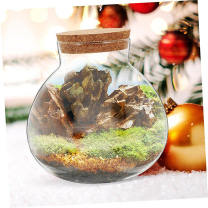 Toyvian Microlandscape Ecological Bottle Cork Stopper Round Glass Terrarium Holder for Moss Plants Decorative DIY Landscape Planter Container for Home and Office