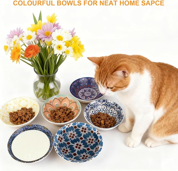 HAPPY KIT Ceramic Cat Bowls for Food 2pcs,5.75 inch with Non-Slip Silicone Bottom for Indoor, 8.5oz Cat Dish/Dishes,Wide Shallow Whisker Friendly
