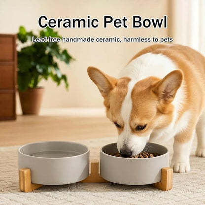 MateeyLife Ceramic Dog and Cat Bowls with Stand, 2-Pack Food and Water Bowl Set - Non-Slip Pet Bowls for Cats,Puppies and Small Dogs, 13.5OZ（Grey）