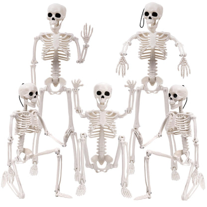 XIMISHOP 5pcs Halloween Skeleton Decoration, 16" Full Body Posable Hanging Skeleton with Movable Joints for Graveyard Haunted House Indoor Outdoor, White