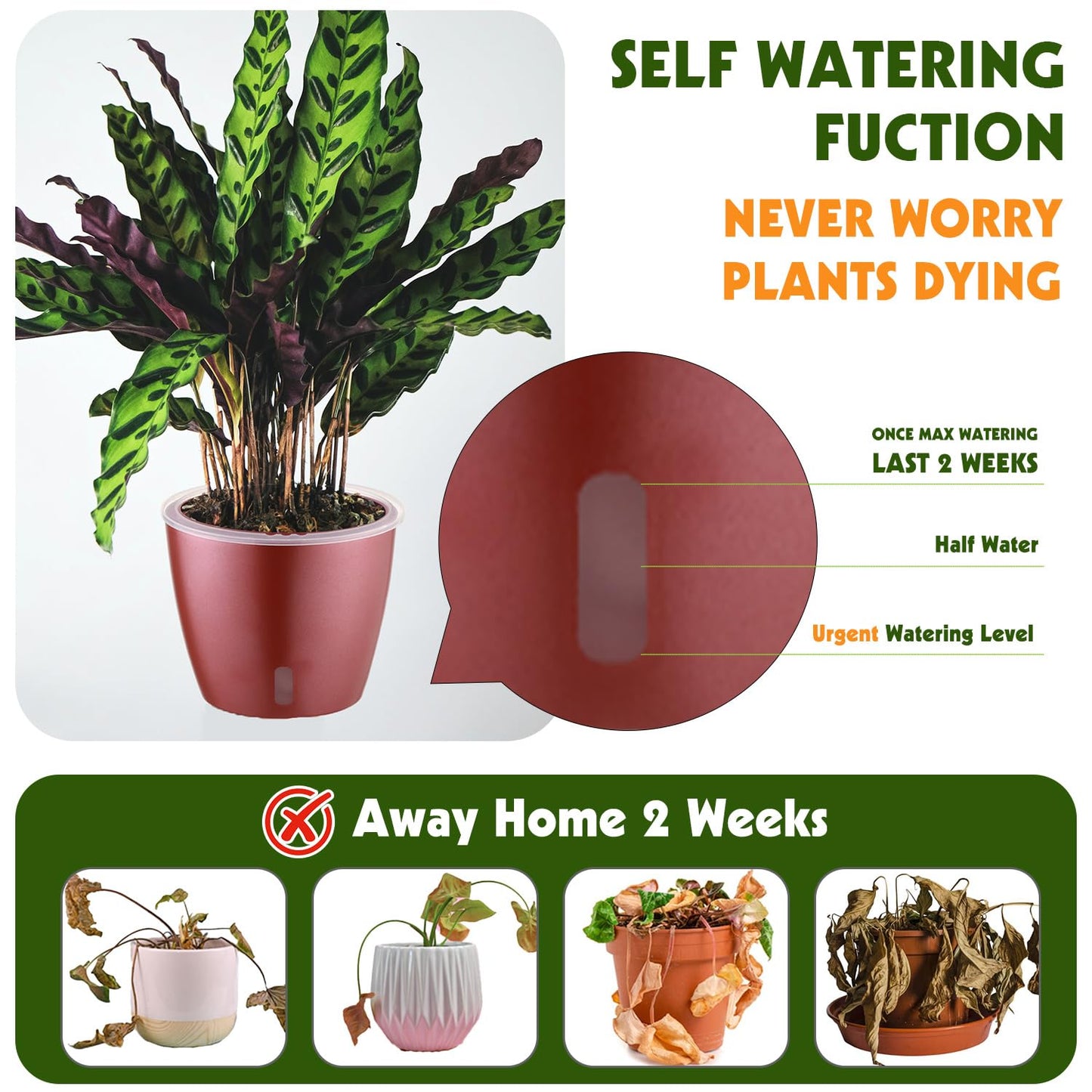 KvyusFlourish Self Watering Pots for Indoor Plants, 4-Pack 6.7'' Self Watering Planter with Drainage Holes, Small African Violet Pots with Water Indicator, Clear Wick Orchid Pot, Rose Gold