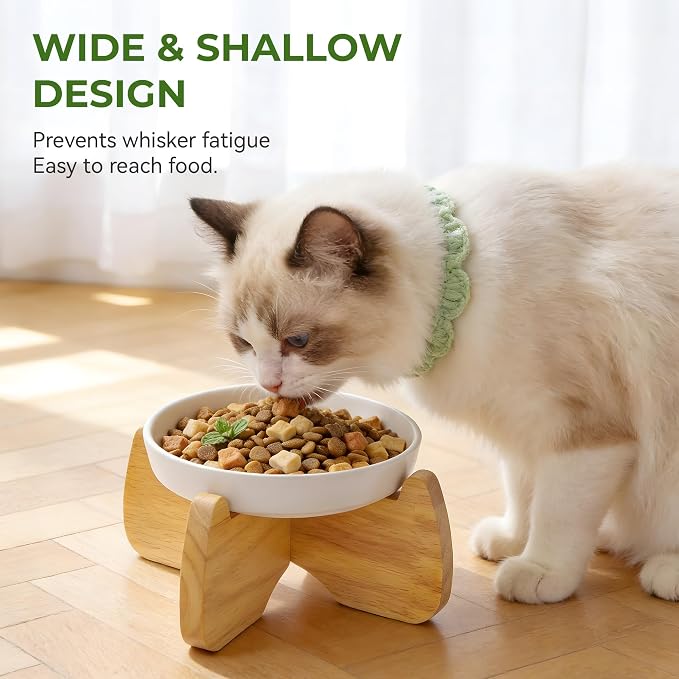 Raised Ceramic Cat Bowl 6.3" Wide Shallow Flat Bottom (2 Pack) | Neck Protective, Anti Whisker Fatigue, Anti Vomit, Dishwasher Safe, For Dry and Wet Food, For Kittens & Seniors
