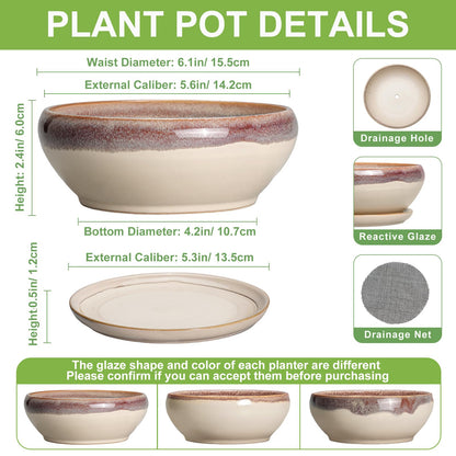 SQOWL Small Bonsai Pots - 6 Inch Ceramic Plant Pots for Succulents, Shallow Planter with Drainage Hole and Saucer, Round Planters for Indoor Outdoor Cactus Plants, House Decor, Birthday Gifts, Beige