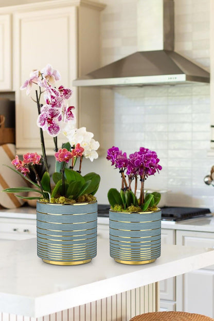 GnFlus Grey Ceramic Plant Pots, 5.5 + 6.2 Inch Gold Striped Planter for Plants, Modern Flower Pots for Home and Office, Indoor Planters with Drainage Set of 2