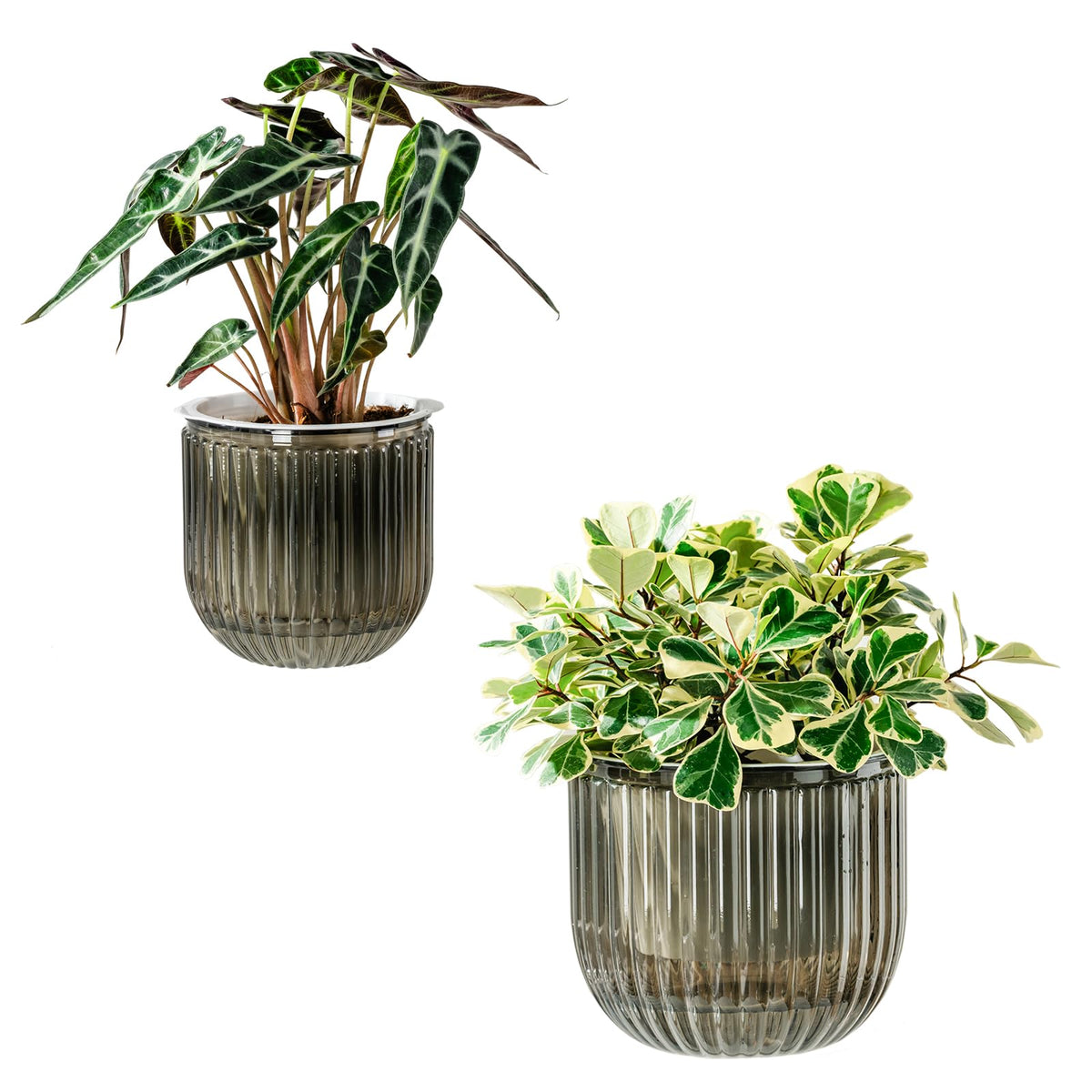 Melphoe Self Watering Pots for Indoor Plants Planter, 8.3/5.3 Inch 2 Pack Planters Self Watering Plant Pots for Flower, Houseplants, Succulent, African Violets and Cactus with Drainage