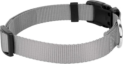 Country Brook Petz - Everyday Nylon Dog Collar and Leash - 10+ Cool Colors (1 Inch, Extra Large, Silver)
