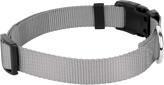 Country Brook Petz - Everyday Nylon Dog Collar and Leash - 10+ Cool Colors (3/8 Inch, 2XS, Silver)