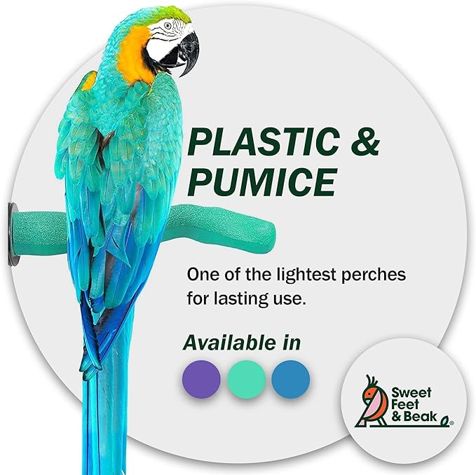Sweet Feet & Beak Safety Pumice Bird Perch, X-Small 1/2" X 6", Lightweight Grinding Bird Perches for Cage - Bird Nail Trimming Perch for Healthy Beak & Feet - Multi-Size & Color Parrot Stand - Green