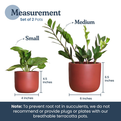 FINE Living 4 & 6 Inch Terracotta Pots for Plants, Set of 2, Ceramic Planter Clay Pots, Succulent Planter Pots with Drainage Hole and Mesh Net for Gifts, DIY Craft, Garden & Home Decor