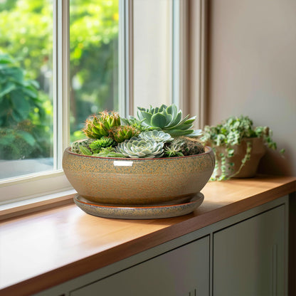 SQOWL Bonsai Planter - 10 Inch Ceramic Succulent Pots, Shallow Plant Pot Indoor with Drainage Hole and Saucer, Ceramic Bonsai Pots, Round Planter Bowl Outdoor, House Decor, Plant Lover Gifts, Brown