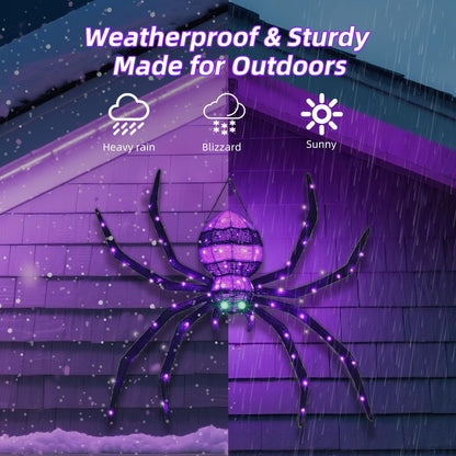 HOYECHI Halloween Decorations Outdoor Hanging Spider - 4.2FT Giant Climb The Wall Spider Halloween Decor, Light Up Spider with 90 LED Lights, for Front Yard Porch Roof Party Outside - Black