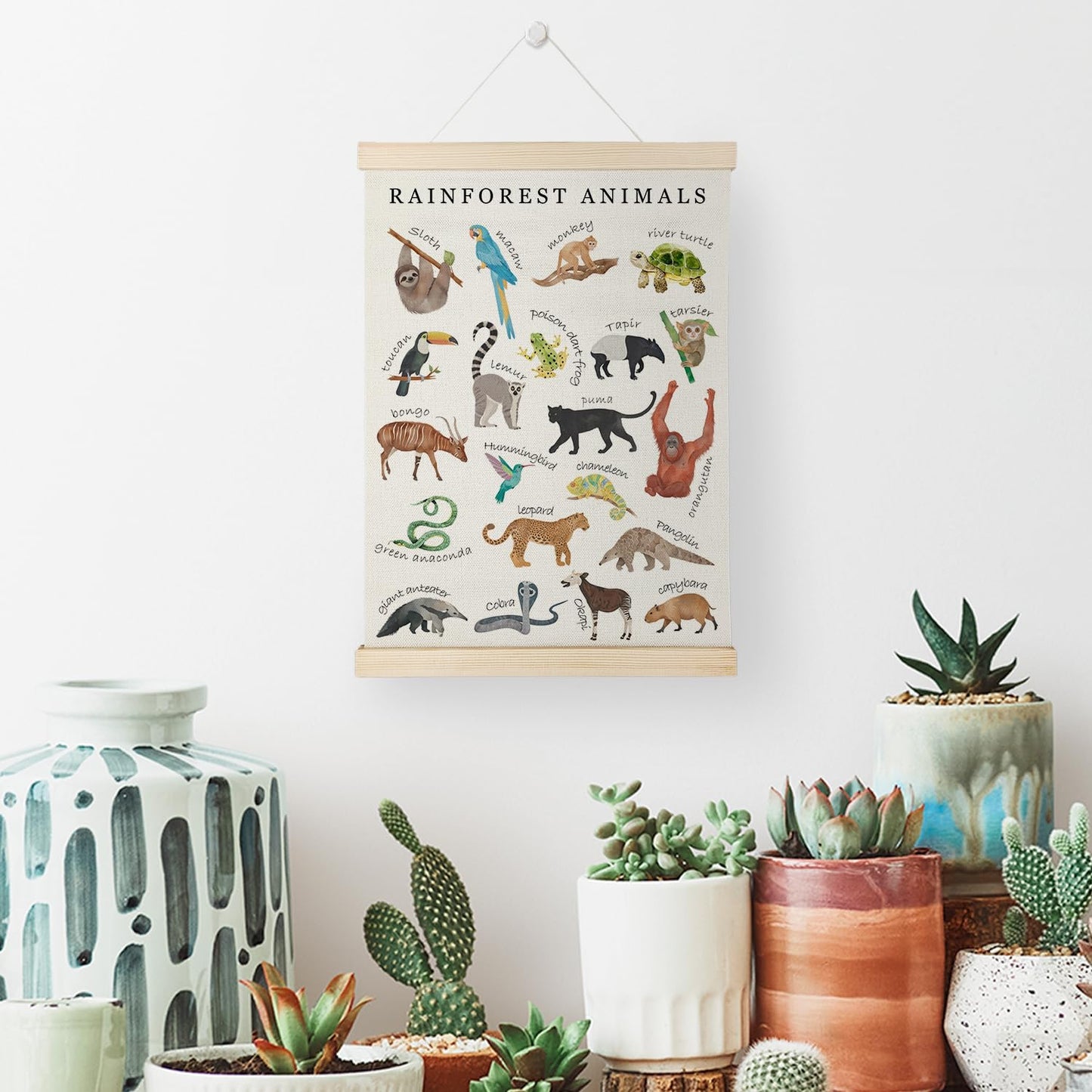 Nrleey Rainforest Animals Wall Art - Educational Poster Hanger Frame, Nursery Decor, 12x16 Inches
