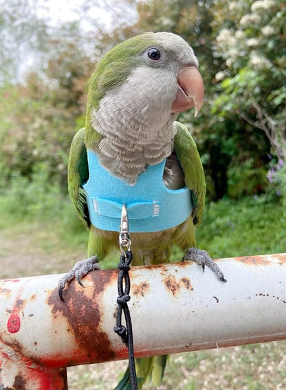 Bird Flight Harness Vest Parrot Flight Suit with Leash for Parakeets Cockatiels Conures Budgies, Bird Flying Clothes with Rope and Handle for Outdoor Activities Training (S,Blue)