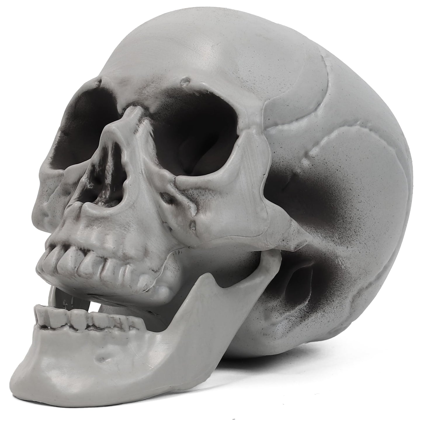 MOKRY PARTY Life Size Skeleton Skull for Halloween Decor Graveyard Outdoor White