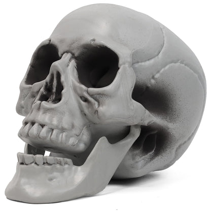 MOKRY PARTY Life Size Skeleton Skull for Halloween Decor Graveyard Outdoor White