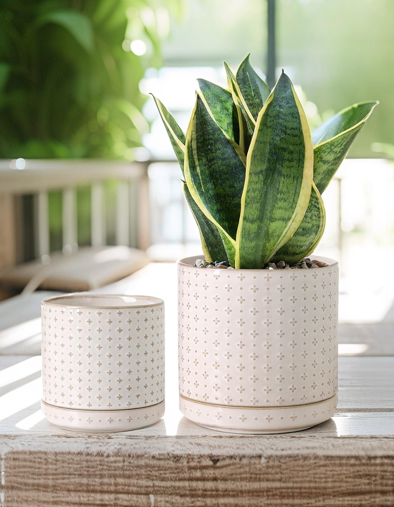 Plant Pots, 5+6 inch Planters Set of 2, Ceramic Pot for Indoor Plants with Drainage Hole and Saucer, Small Flower Pot for Succulent, White