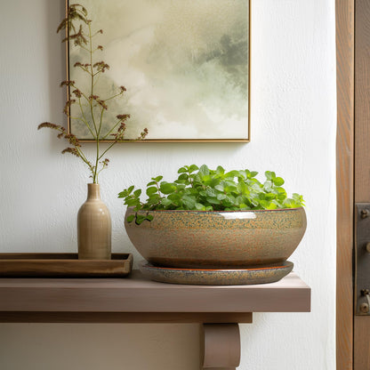 SQOWL Bonsai Planter - 10 Inch Ceramic Succulent Pots, Shallow Plant Pot Indoor with Drainage Hole and Saucer, Ceramic Bonsai Pots, Round Planter Bowl Outdoor, House Decor, Plant Lover Gifts, Brown