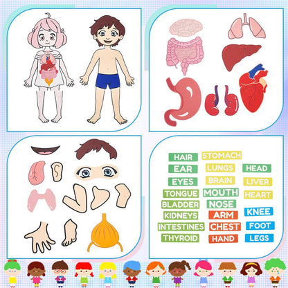 BEUNITONE Body Parts Learning Felt Story Board for Family 48 Pcs Large Preschool Human Organ Name Words Useful Felt Story Board Set Wall Activity for Birthday Christmas New Year Gifts
