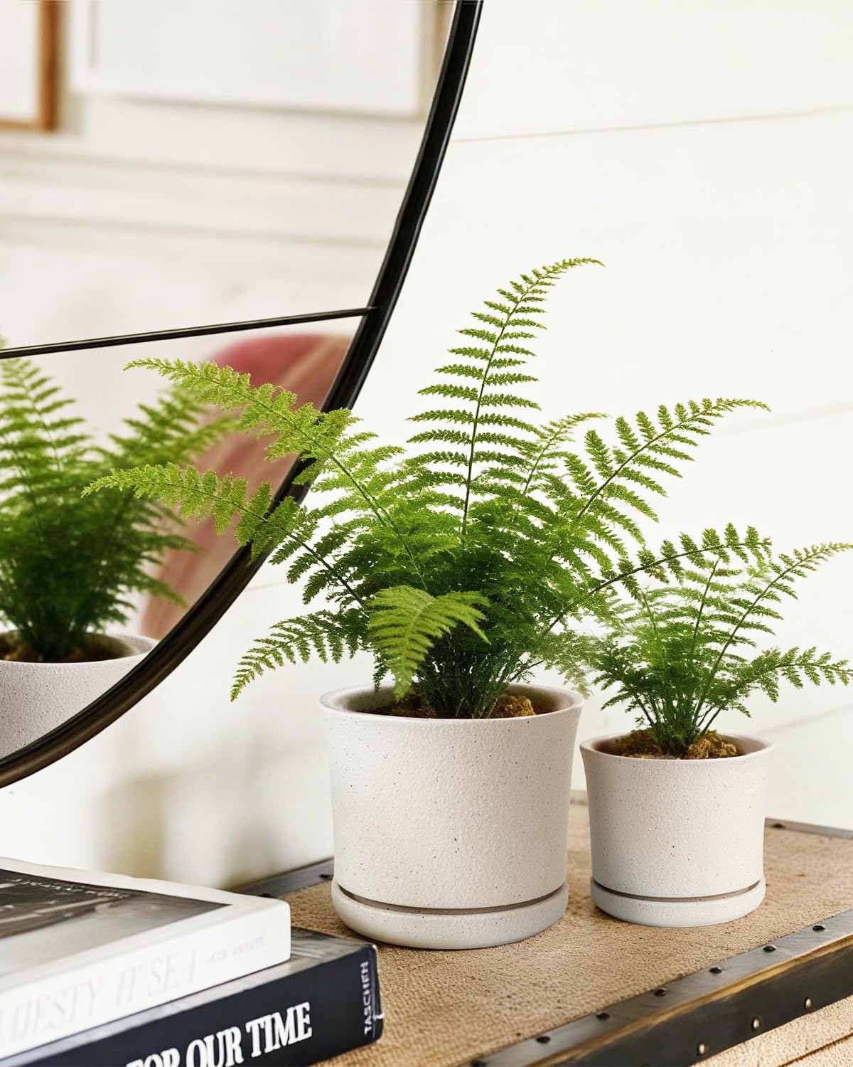 Avyra Velen Ceramic Plant Pots Set of 3 with Saucers, 4.3/5.5/7 Inch Planters for Indoor Plants, Drainage Hole Flower Pots for Succulents, Herbs, Aloe, Modern Home Decor, White