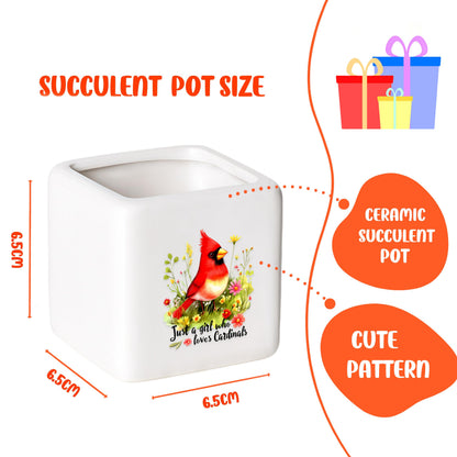 BJDAMAI Cardinal Succulent Planter Flower Plant Pot Small, Gifts for Women Teens Girls Kids, Cardinal Lovers Themed Stuff Accessories Things Decor Merch, Home Office Table Desk Decoration!